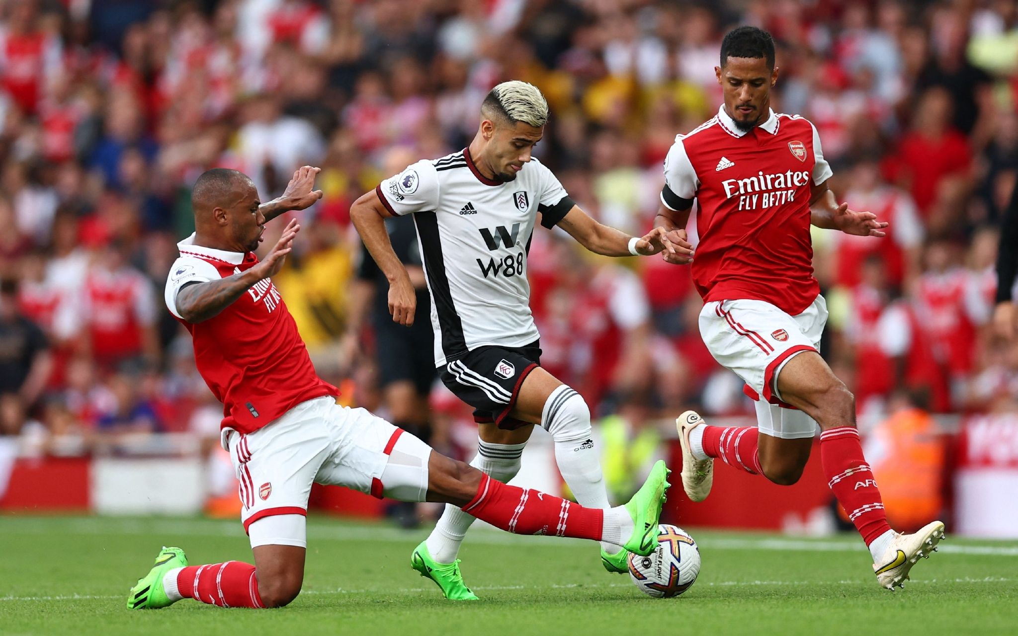 新帅加斯佩 新帅加斯佩